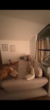 Foto - 2 Zimmer Dachgeschoßwohnung in Velpke