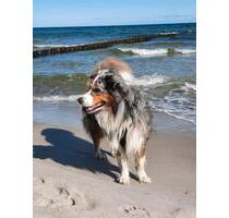 Schicke Ostsee-Ferienwohnung für 2-4 Personen, gern mit Hund - Barth