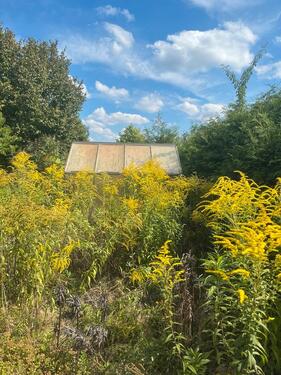 Foto - Grundstück in Torgelow