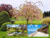 Foto - Mee(h)r • Haus • Land • Wald - 450.000,00&nbsp;EUR Kaufpreis, ca.&nbsp; 360,00&nbsp;m&sup2;