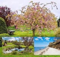 Mee(h)r • Haus • Land • Wald - 450.000,00&nbsp;EUR Kaufpreis, ca.&nbsp; 360,00&nbsp;m&sup2; in Dassow (PLZ: 23942)