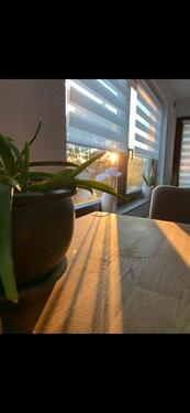 Foto - Wunderschöne 2 Zimmer Wohnung 2.OG Balkon Haustiere ♥️ Willkommen