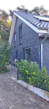 Foto - Einfamilienhaus zur Miete in Ibbenbüren