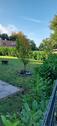 Foto - Einfamilienhaus in Ibbenbüren