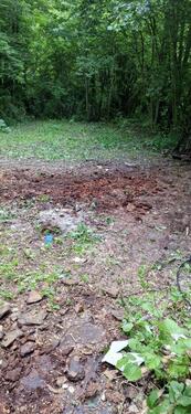 Foto - Grundst&uuml;ck in Ulm zur Miete