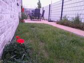 Foto - 