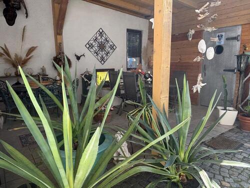 Foto - Haus - auch Mehrgenerationen - 269.000,00&nbsp;EUR Kaufpreis, ca.&nbsp; 240,00&nbsp;m&sup2;