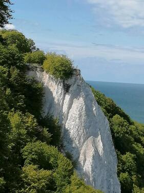 Foto - Insel Rügen - Urlaub mit Hund - 60,00 EUR Kaltmiete,