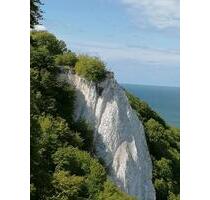 Insel Rügen - Urlaub mit Hund - 60,00 EUR Kaltmiete, in Sagard (PLZ: 18551)