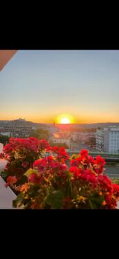 Foto - 1-Zimmer-Wohnung in der Fichtestraße – ab 01.04. frei!