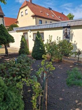 Foto - Doppelhaushälfte in Eisleben (Lutherstadt) zum Kaufen