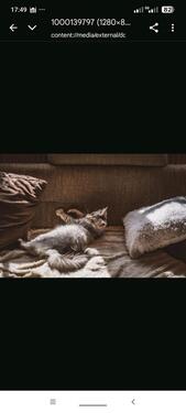 Foto - Etagenwohnung in Hagen