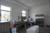 Foto - 