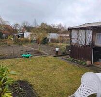 Kleingarten in der Kleingartenanlage 