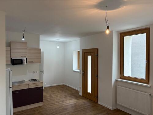 Foto - 1 Zimmer Hochparterre zur Miete in Hersbruck