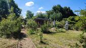 Foto - Pachtgarten in Teutschenthal - 150,00 EUR Kaltmiete, ca.  0,00 m²