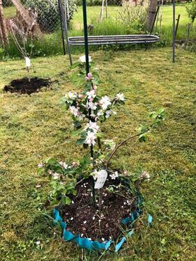 Foto - 80m2, möbeliert,inkl Küche,hell für Paare 2WG