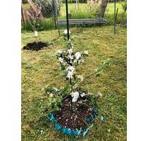 80m2, möbeliert,inkl Küche,hell für Paare 2WG - Geratal Geraberg