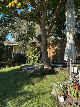 Foto - Kleingarten im Greifswald - 2.500,00&nbsp;EUR Kaltmiete, ca.&nbsp; 0,00&nbsp;m&sup2;