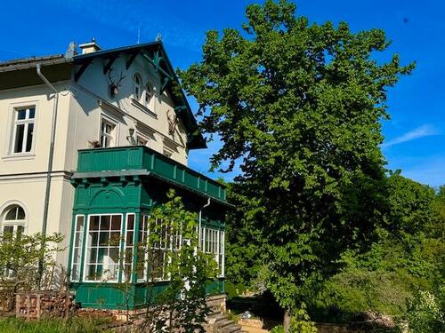 Foto - 4 Zimmer Erdgeschoßwohnung zur Miete in Radebeul