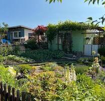 Kleingarten Pachtgarten Schrebergarten - Radeberg