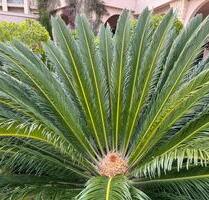 1 Zimmer Wohnung mit Küche in Neuburg - Neuburg an der Donau