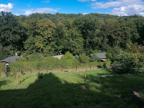Foto - Grundstück zur Miete in Zeitz