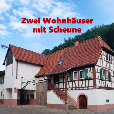 Foto - Zwei Wohnhäuser mit Scheune auf einem Grundstück – provisionsfrei