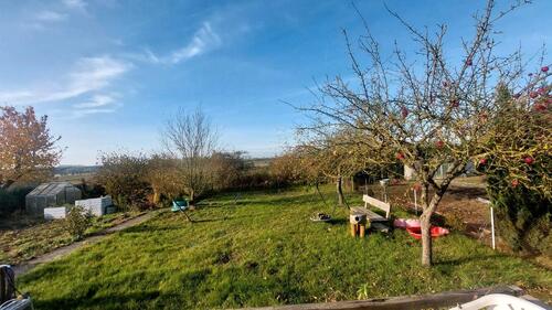 Foto - Pachtgarten abzugeben - Ostersonderaktion