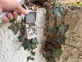 Foto - andere in Rheinbrohl zur Miete