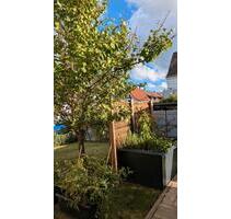 WG Zimmer mit Balkon und Garten Wohnung Haus - Schweinfurt Gartenstadt