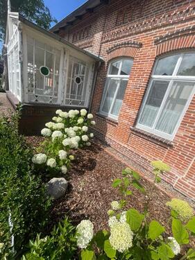 Foto - Etagenwohnung zur Miete in Butjadingen