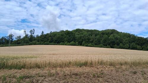 Foto - 10 Zimmer Mehrfamilienhaus, Wohnhaus in Detmold