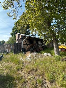 Foto - Einfamilienhaus in Nauen zum Kaufen