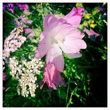 Foto - Für die große Familie - 522.000,00&nbsp;EUR Kaufpreis, ca.&nbsp; 240,00&nbsp;m&sup2;