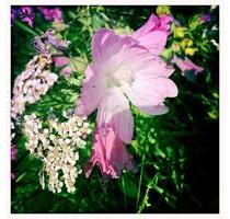 Für die große Familie - 522.000,00&nbsp;EUR Kaufpreis, ca.&nbsp; 240,00&nbsp;m&sup2; in Dülmen (PLZ: 48249)