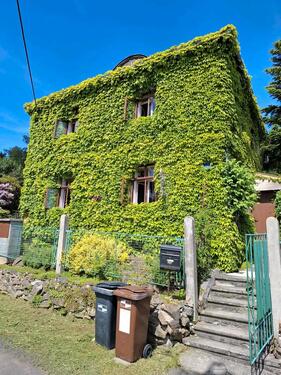 Foto - Einfamilienhaus in Dolni Poutevna (Grenze czde)
