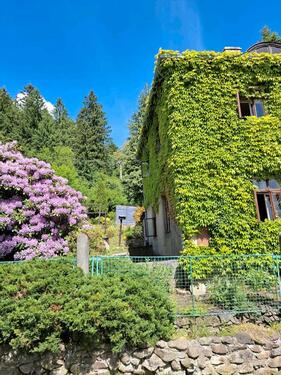 Foto - 5 Zimmer Einfamilienhaus in Sebnitz