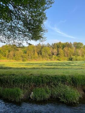 Foto - Einfamilienhaus zum Kaufen in Wipperfürth