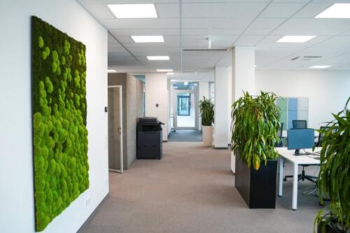 Foto - andere in Frechen zur Miete