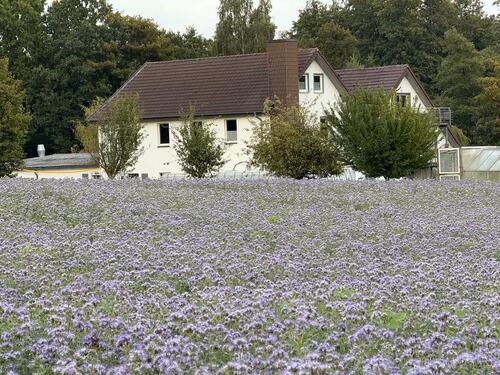 Foto - Immobilie zum Verkauf in Bestlage von Herford