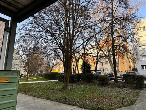 Foto - 2 Zimmer Etagenwohnung zur Miete in Halle (Saale)