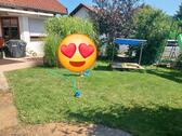 Foto - 