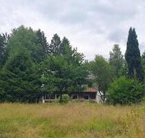 Großzügiges Einfamilienhaus mit großem Grundstück, Koppel, Wald - Haiger