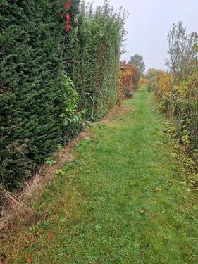 Foto - Grundstück zur Miete in Sehnde