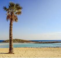 ###ZYPERN - AUSWANDERN - YELLOW-SLIP - NON-DOM### - Höchst im Odenwald