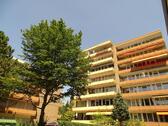 Foto - Charmante Single Wohnung 37 qm mit tollem Ausblick in Kessenich