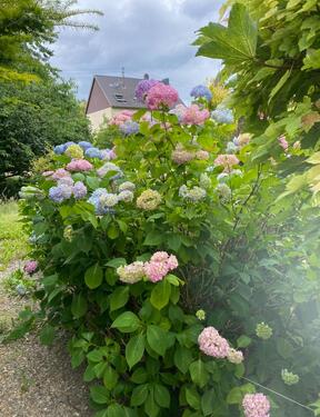 Foto - Etagenwohnung zur Miete in Saarbrücken