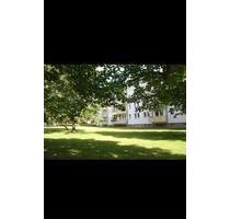 Sonnige, schöne Wohnung mit Balkon - Chemnitz Altendorf