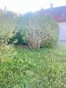 Foto - Einfamilienhaus zum Kaufen in Kaufbeuren